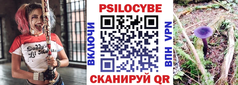 купить наркотик  Электроугли  Галлюциногенные грибы GOLDEN TEACHER 